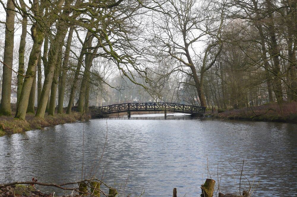 Houten boogbrug met takkenleuning over het water in wandelbos Groenendaal in Heemstede, tussen hoge kale bomen